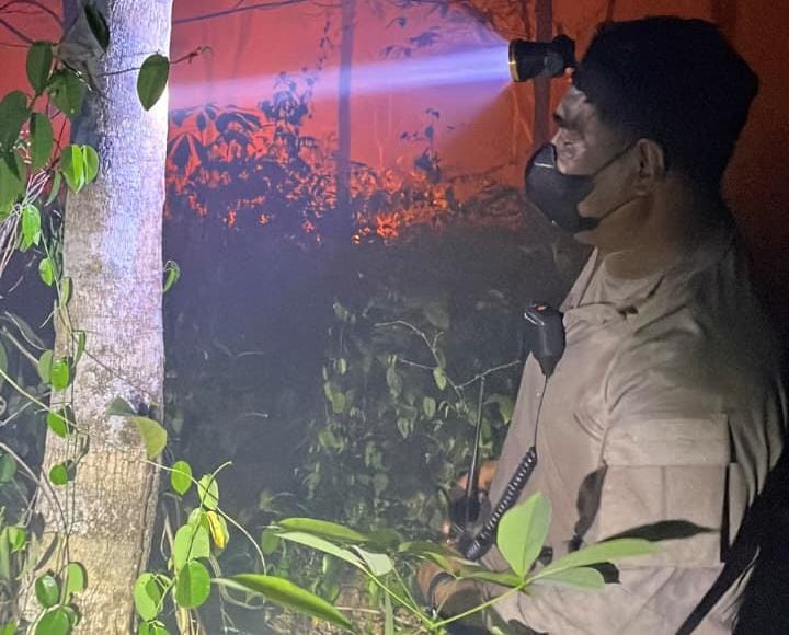 Turun Langsung Padamkan Api, Dirsamapta Bersama Personel Ditsamapta Sigap Hadapi Karhutla